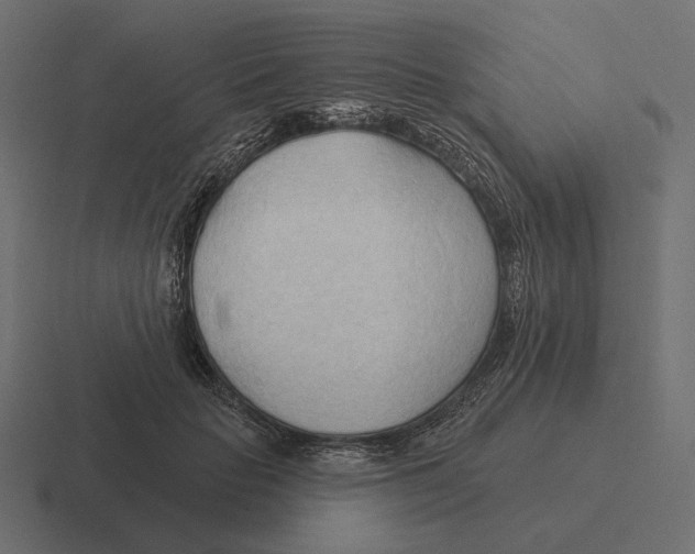 X0000116300653200912291432