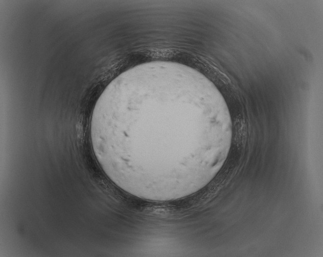 X0000116300655200912291433