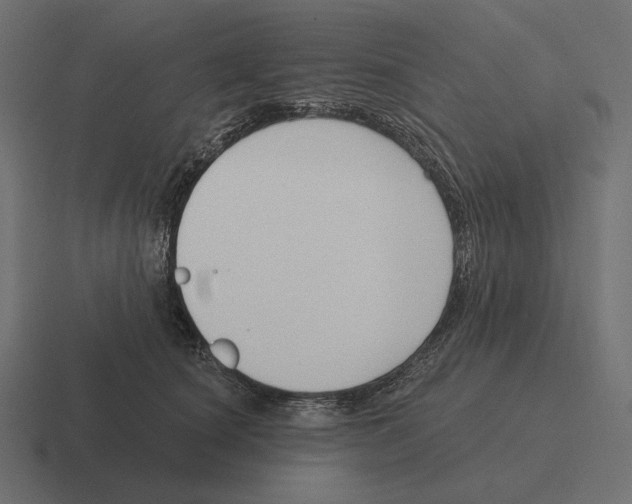 X0000116300660200912291433