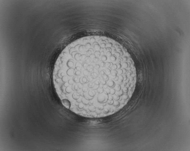 X0000116300662200912291433