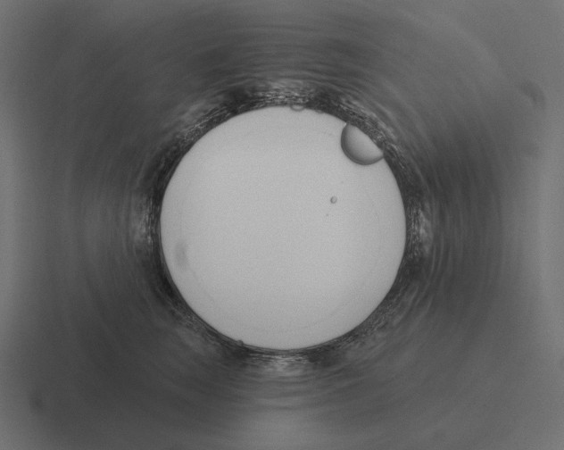 X0000116300663200912291433