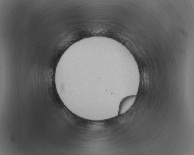 X0000116300664200912291433