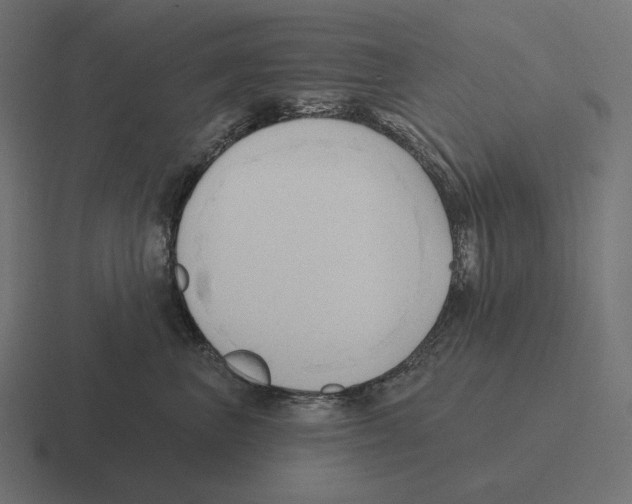 X0000116300667200912291433