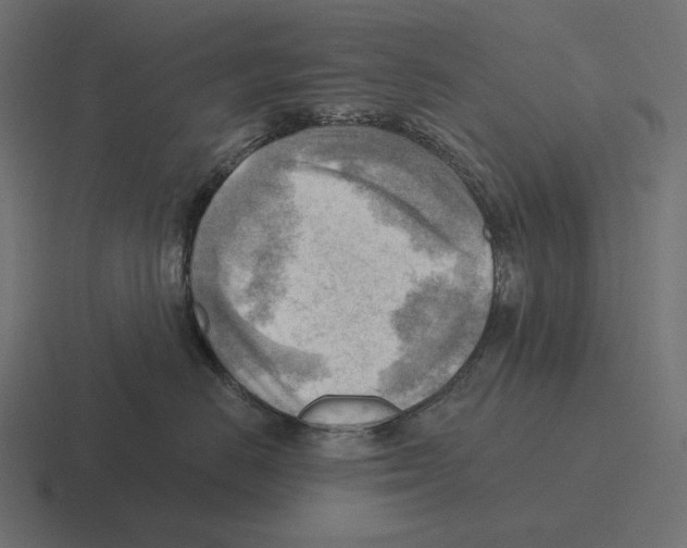 X0000116300670200912291433