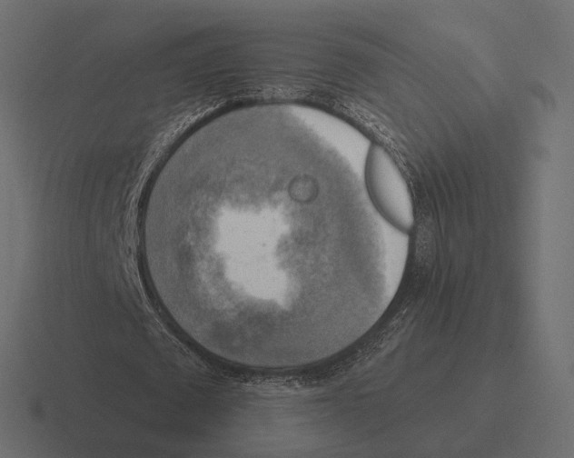 X0000116300673200912291432