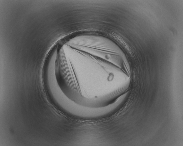 X0000116300676200912291432