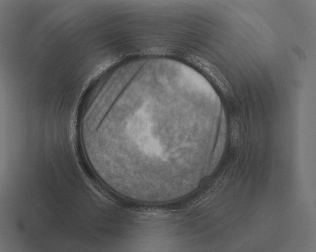 X0000116300677200912291432