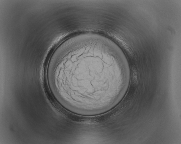 X0000116300678200912291432