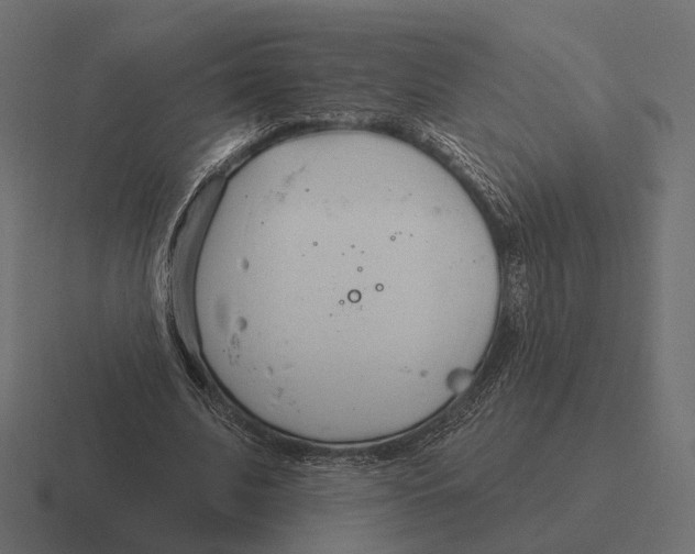 X0000116300679200912291432