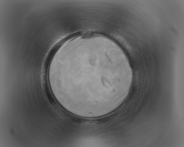 X0000116300680200912291432