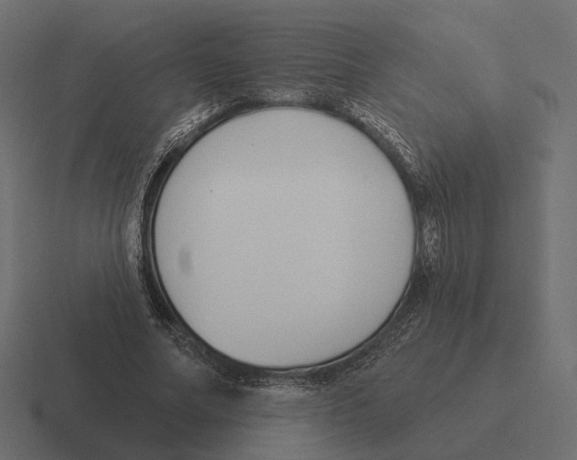 X0000116300682200912291432