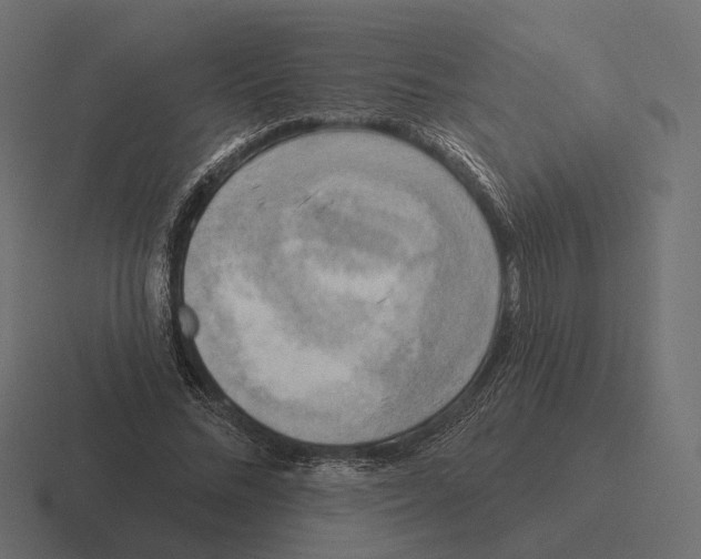 X0000116300684200912291432