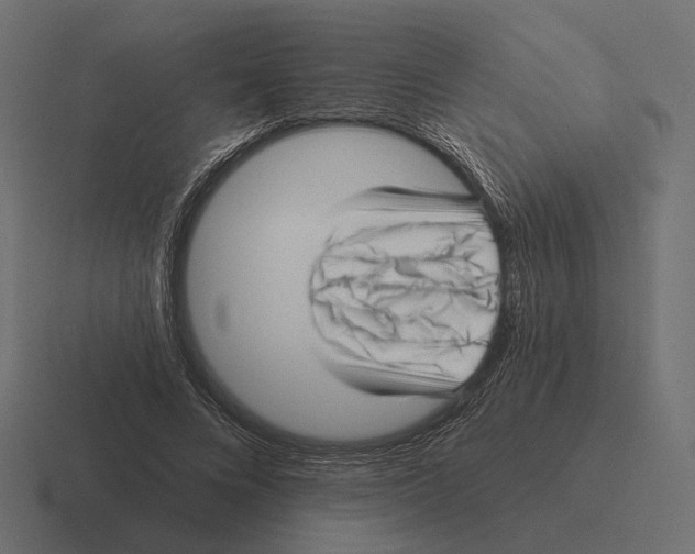 X0000116300688200912291432