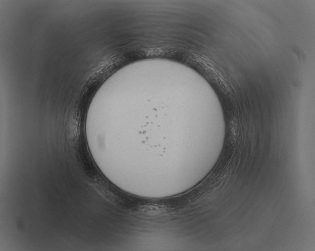 X0000116300691200912291432