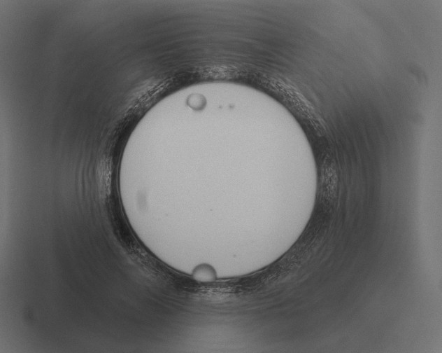 X0000116300694200912291432