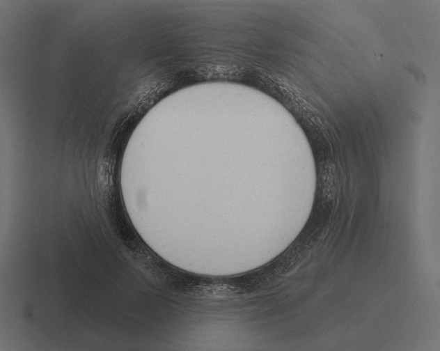 X0000116300695200912291432