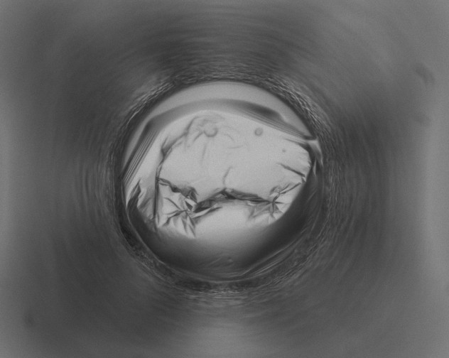 X0000116300696200912291432