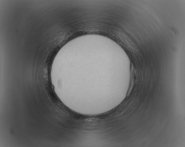 X0000116300700200912291432