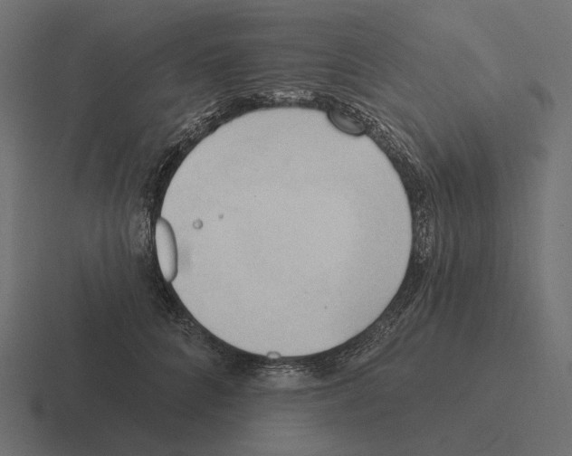 X0000116300704200912291432