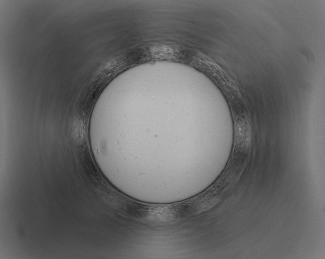 X0000116300705200912291432