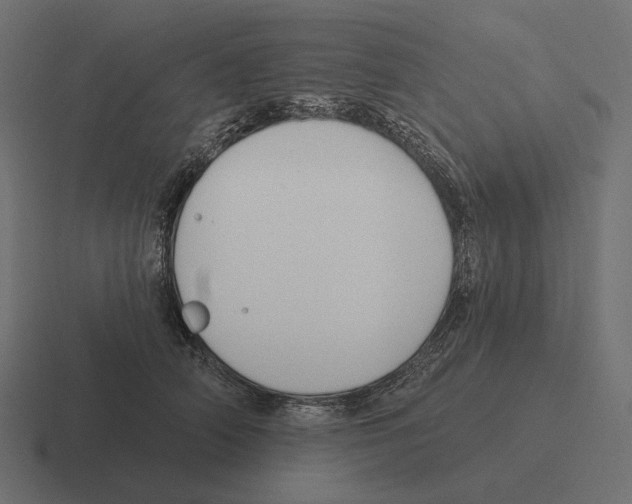 X0000116300706200912291432