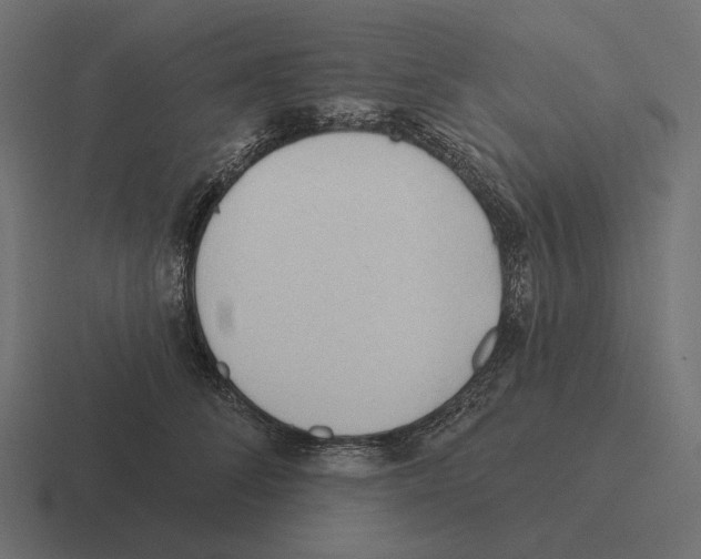 X0000116300708200912291432