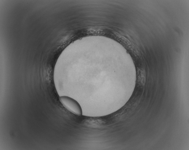 X0000116300712200912291432