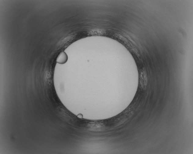 X0000116300714200912291432