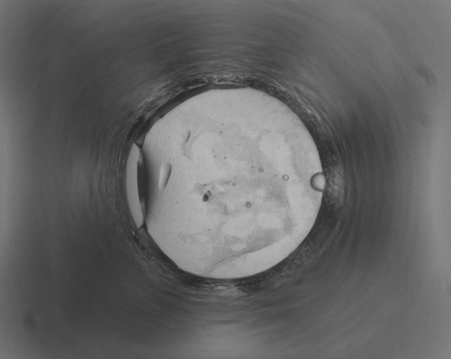 X0000116300715200912291432