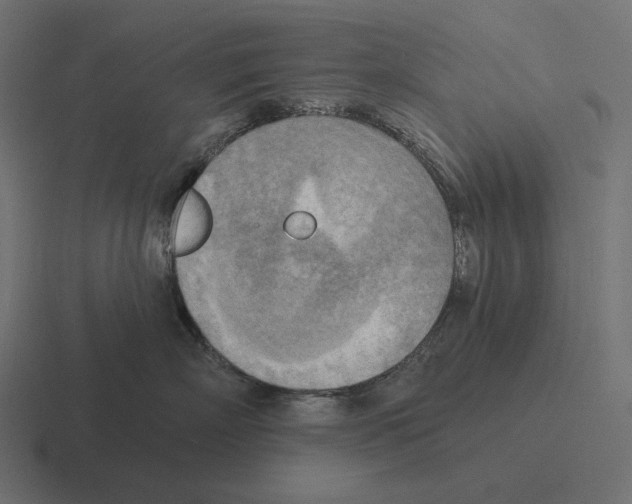 X0000116300718200912291432