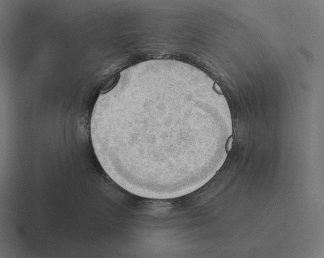 X0000116300719200912291432