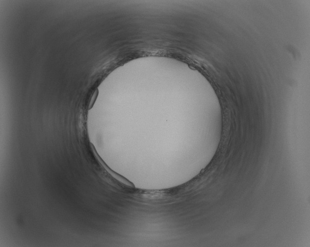 X0000116300720200912291432