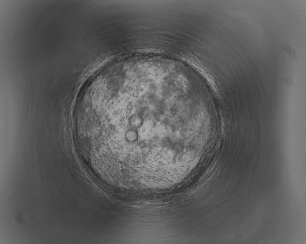 X0000116300721200912291431