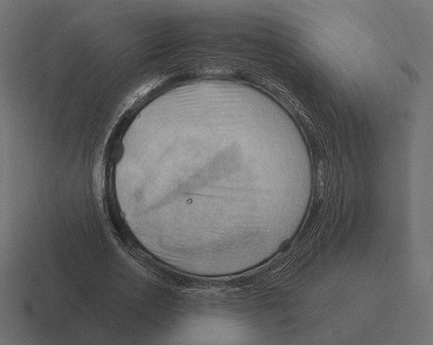 X0000116300726200912291431