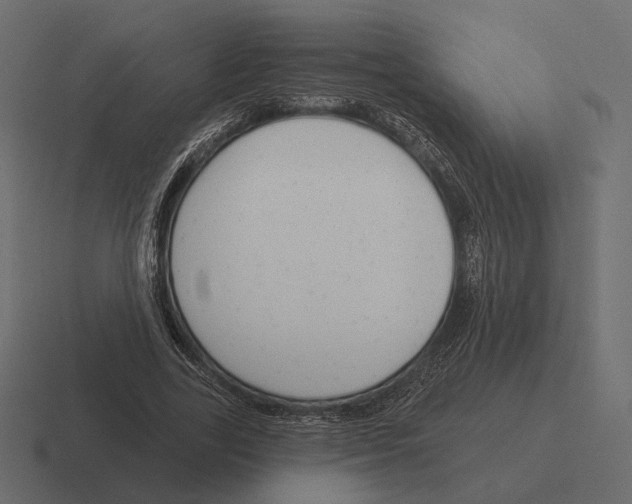 X0000116300731200912291431