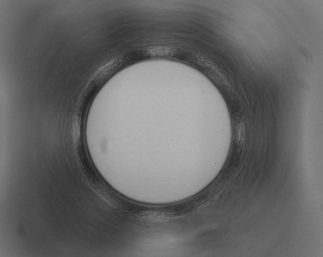 X0000116300733200912291431