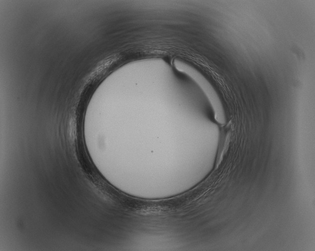 X0000116300734200912291431