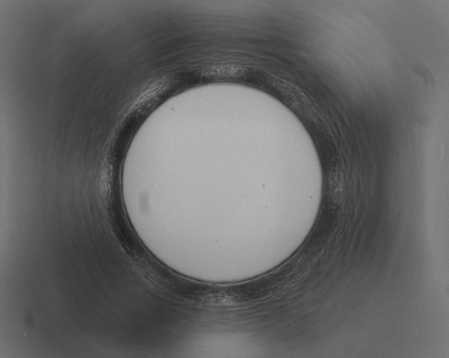 X0000116300735200912291431