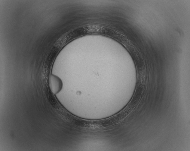 X0000116300737200912291431