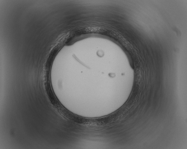 X0000116300738200912291431