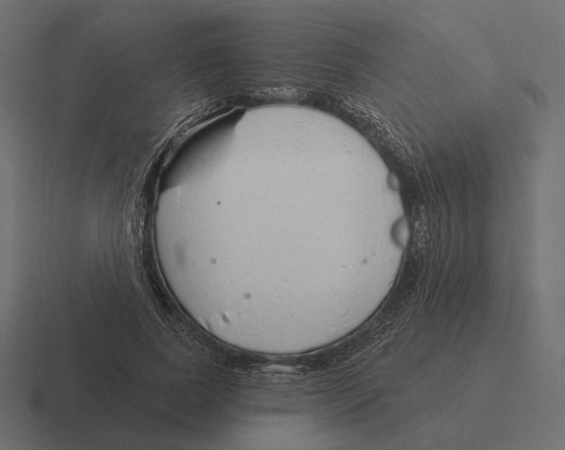 X0000116300739200912291431