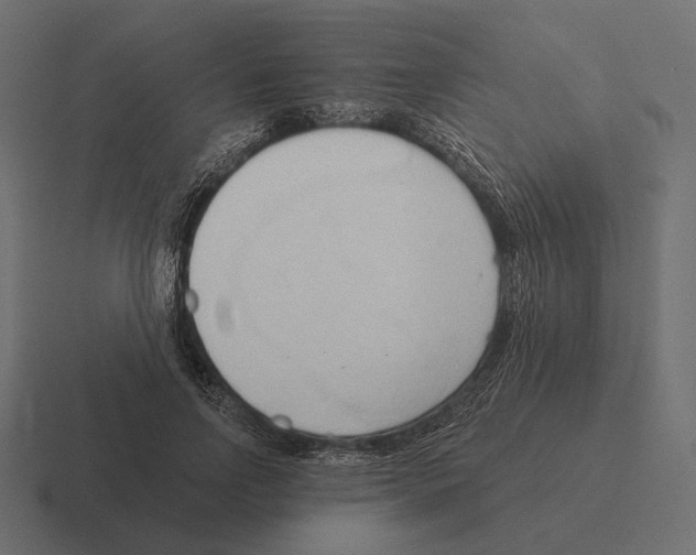 X0000116300742200912291431