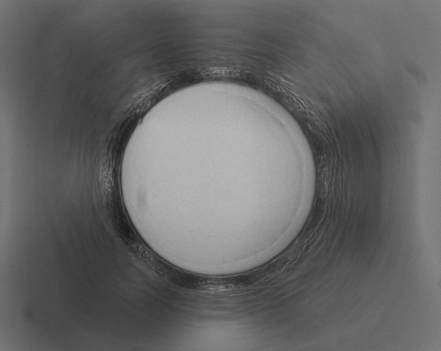 X0000116300746200912291431