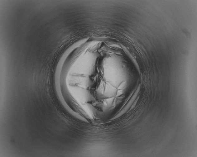 X0000116300750200912291431