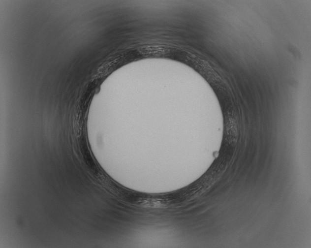 X0000116300751200912291431