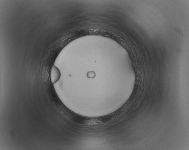 X0000116300754200912291431