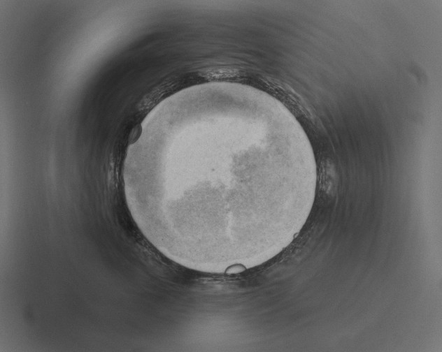 X0000116300763200912291431