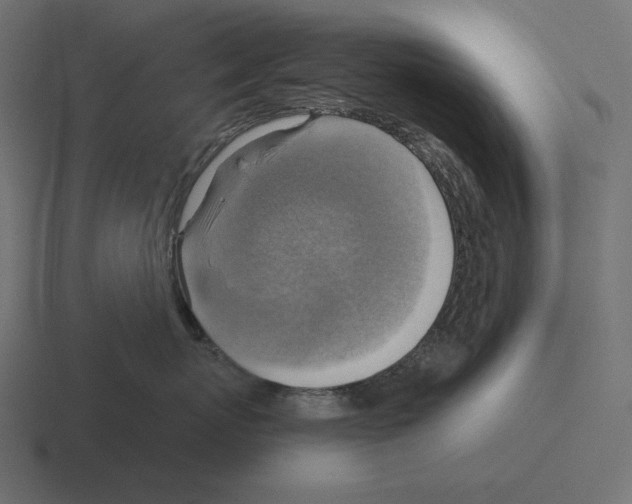 X0000116300767200912291431