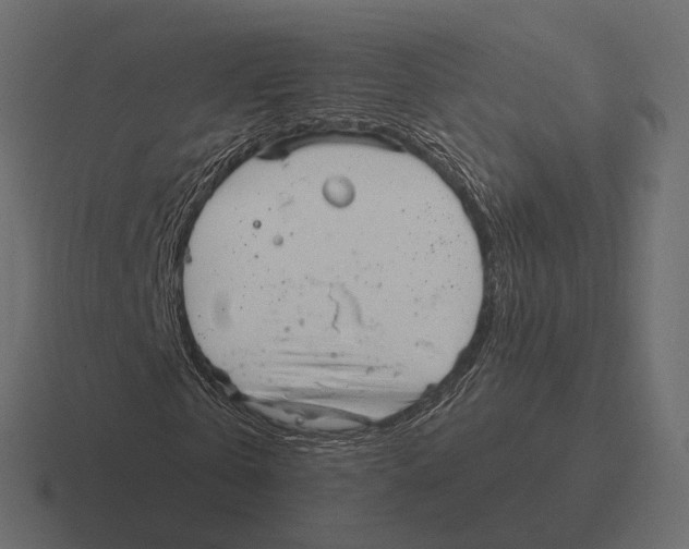 X0000116300769200912291431