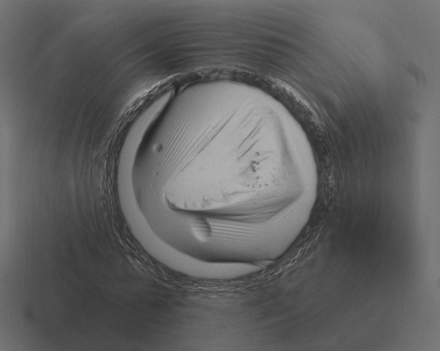 X0000116300775200912291431